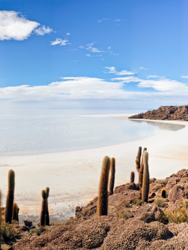 Day 1 Salar de Uyuni - Isla Incahuasi