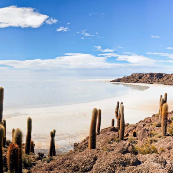 Dreamstimemaximum 22847781