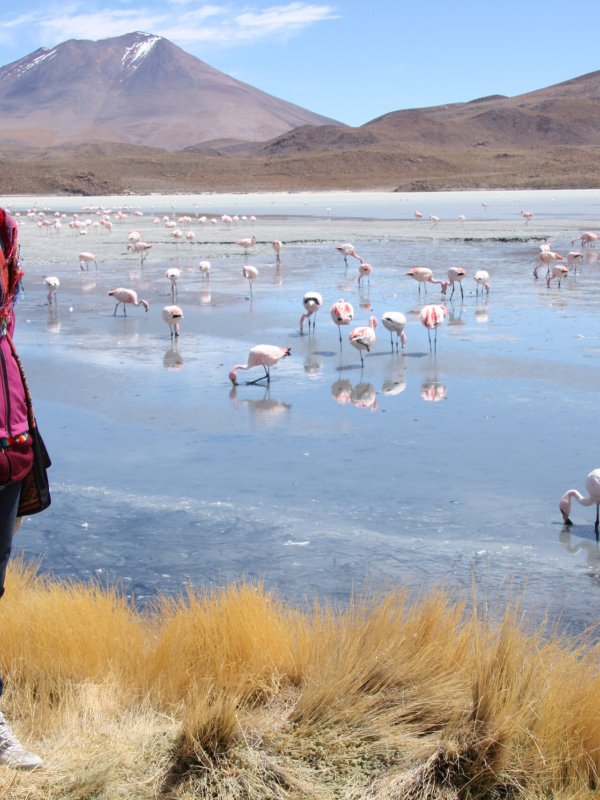 Day 3 Geysers, Hot Springs & Laguna Verde – Return To Uyuni
