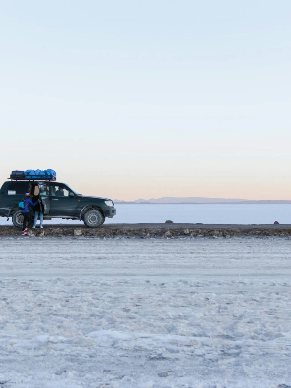 Day 2 Barren Deserts, Colored Lagoons & Andean Wildlife